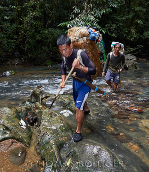 Hiking Action